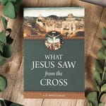 What Jesus Saw From The Cross [Softcover]