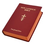 St. Joseph NAB Giant Type Edition