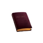 Catholic Companion Edition - NABRE