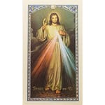 Nuestro Senor de la Misericordia (Chaplet of the Divine Mercy) &mdash Spanish Prayer Card