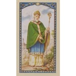 St. Patrick - Prayer Card