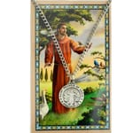 St. Francis of Assisi Patron Saint Prayer Card w/ Medal