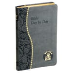 Bible Day by Day - Vinyl Cover 