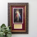 Divine Mercy (Matted w/ Prayer in Dark Ornate Frame) 8x14
