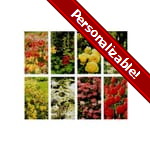 Flowers Personalized Prayer Card (Priced Per Card)