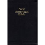 NAB Deluxe Gift and Award Bible - Black Bonded Leather
