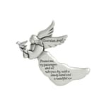 Protect Me, My Passengers Angel Visor Clip 