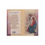 St. Luke - Mini Lives of the Saints Folded Prayer Card 