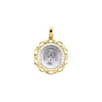 Two Tone Miraculous Medal - 14K Gold (no chain)