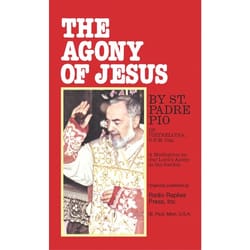 The Agony of Jesus