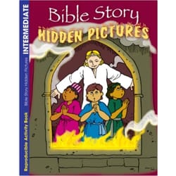 Bible Story - Hidden Pictures Activity Book 