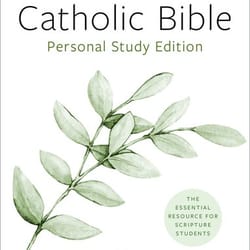The Catholic Bible - Personal Study Edition - Hardcover 