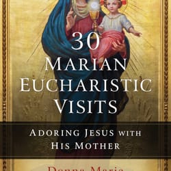 The Re-formed Jesuits Volume 2