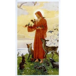 St. Francis Personalized Prayer Card (Priced Per Card)