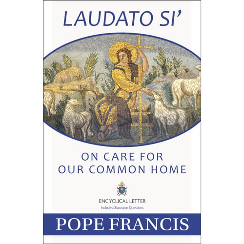 Laudato Si: On Care for Our Common Home by Pope Francis