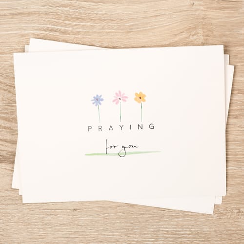 Daisies Collection Note Cards - Set Of 12