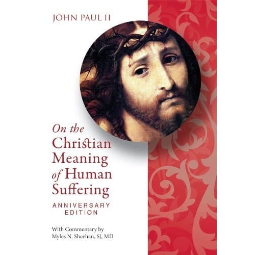 John Paul II On The Christian Meaning Of Human Suffering By Myles Sheehan