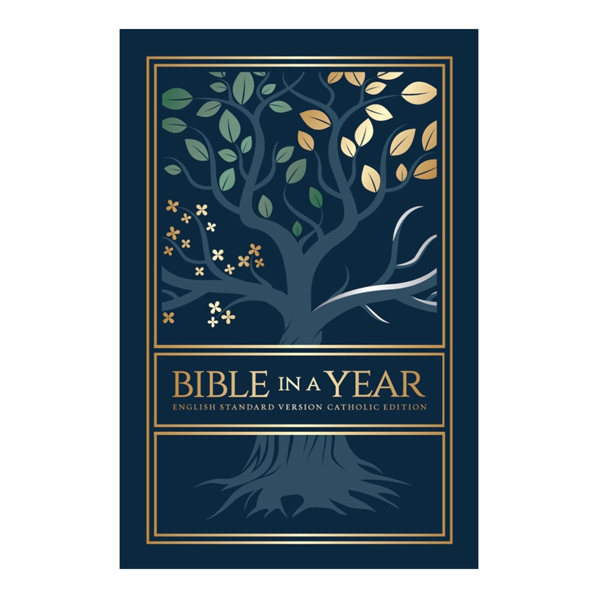 Bible in a Year English Standard Version Catholic Edition The
