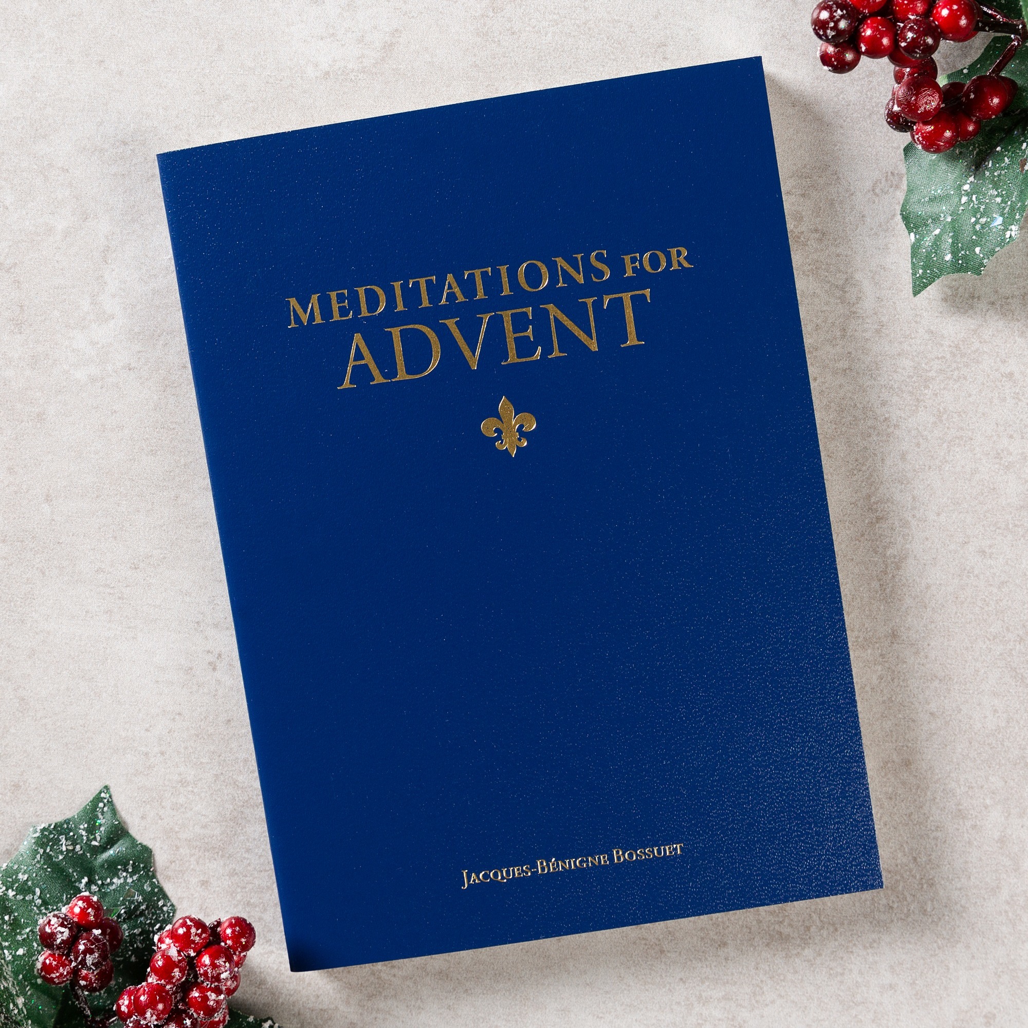 Meditations for Advent The Catholic Company®