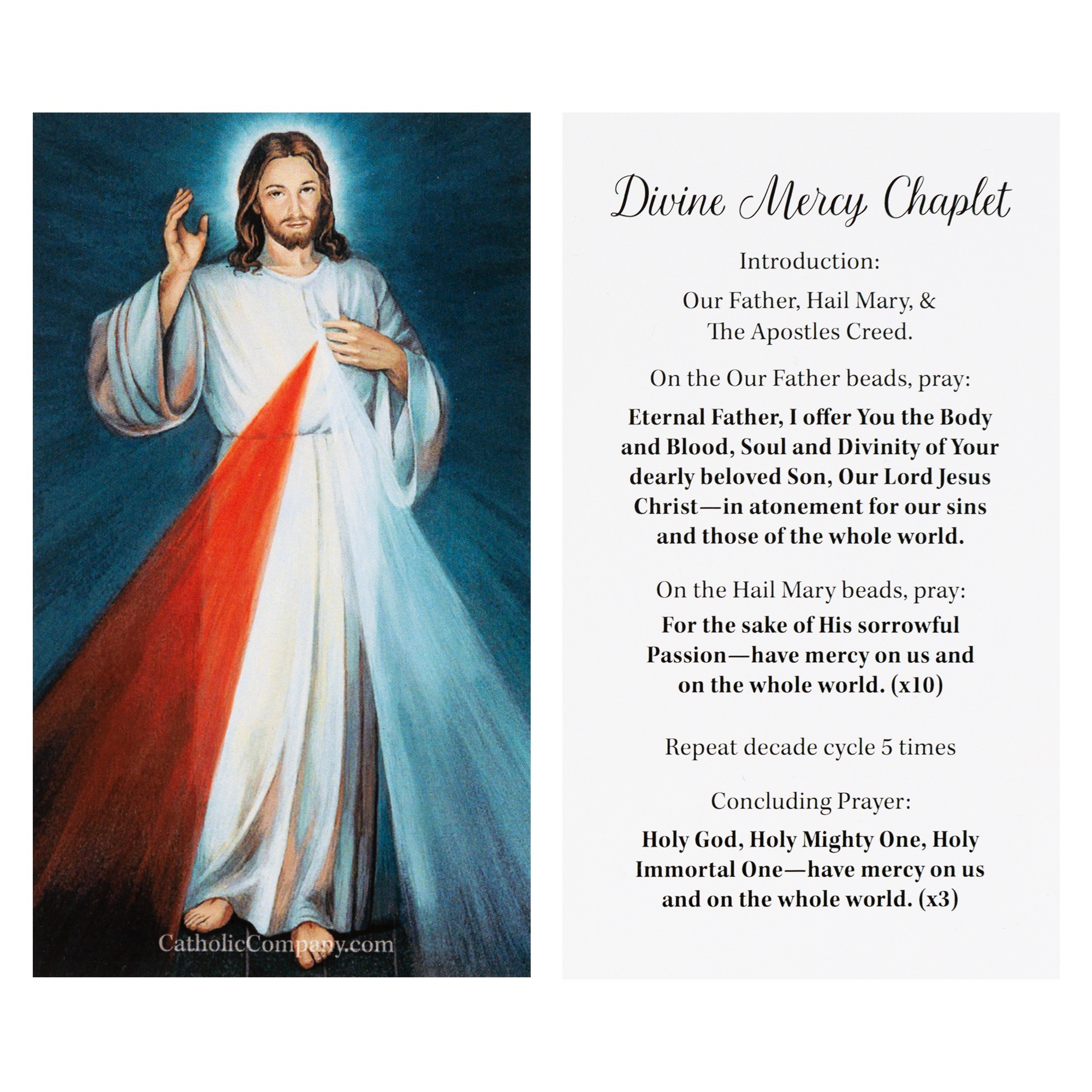 Divine Mercy Image And Chaplet Prayer Card The Catholic Company 