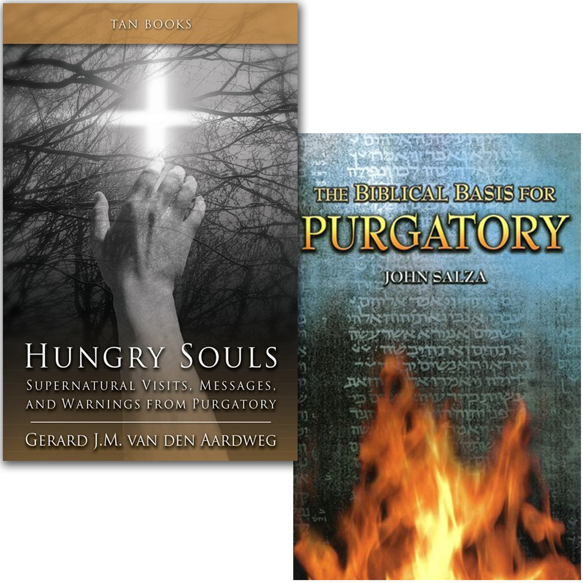 Hungry Souls And The Biblical Basis For Purgatory 2 Book Set The