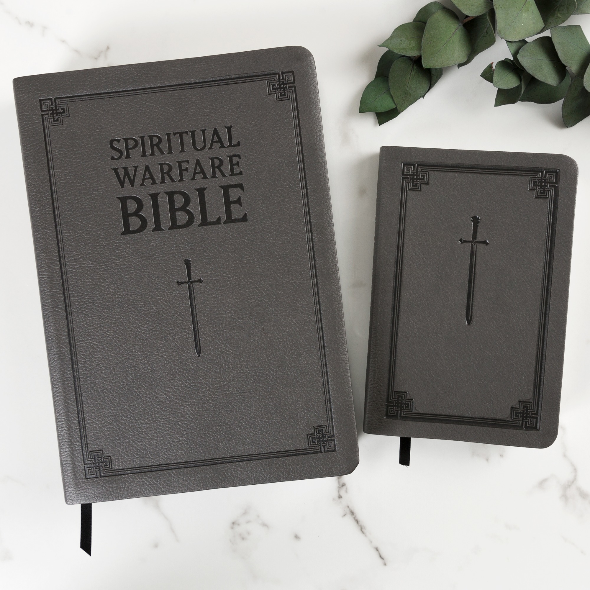 Spiritual Warfare Bible & Manual For Spiritual Warfare (2 Book Set
