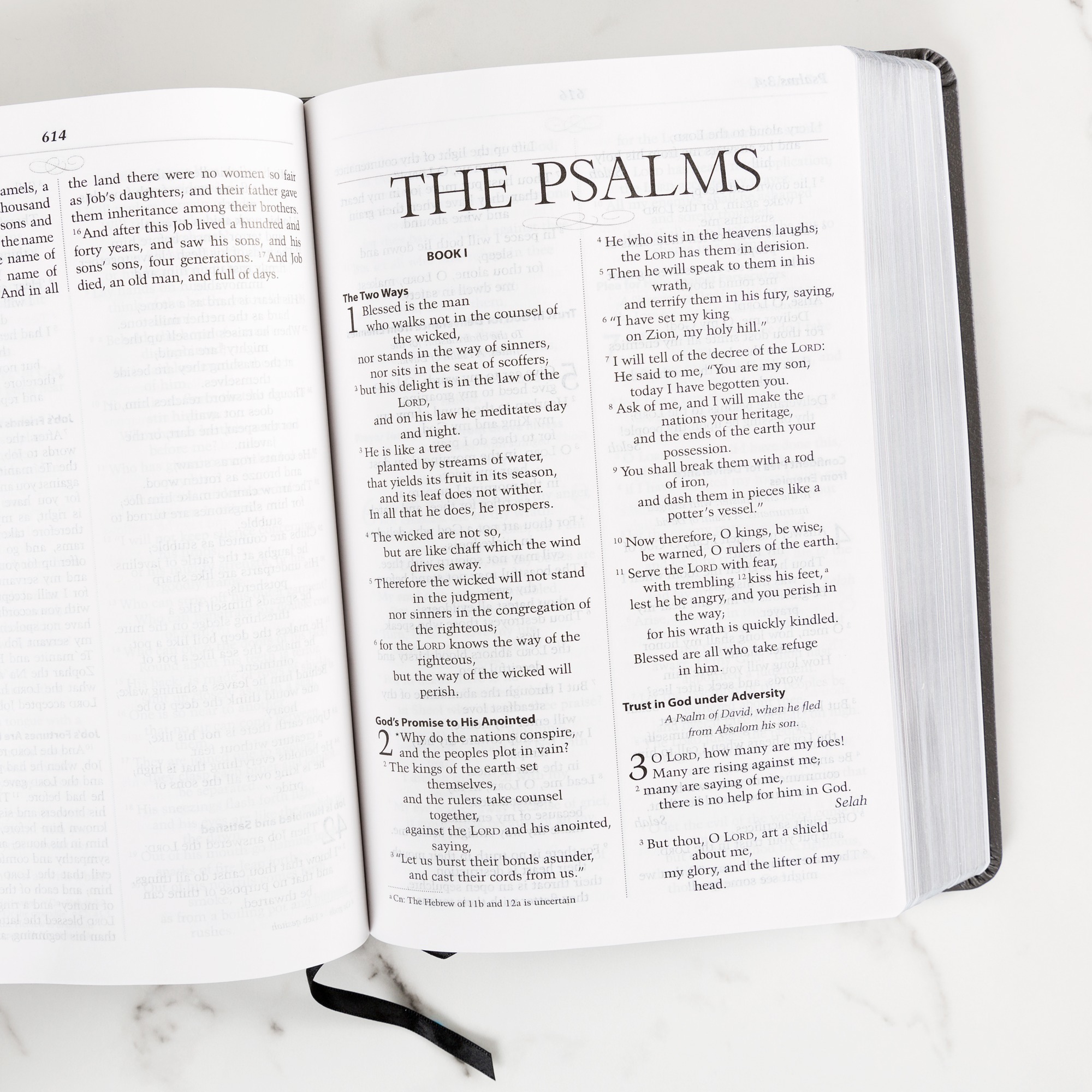 Spiritual Warfare Bible & Manual For Spiritual Warfare (2 Book Set