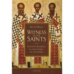 Cover image from the book, Witness of the Saints