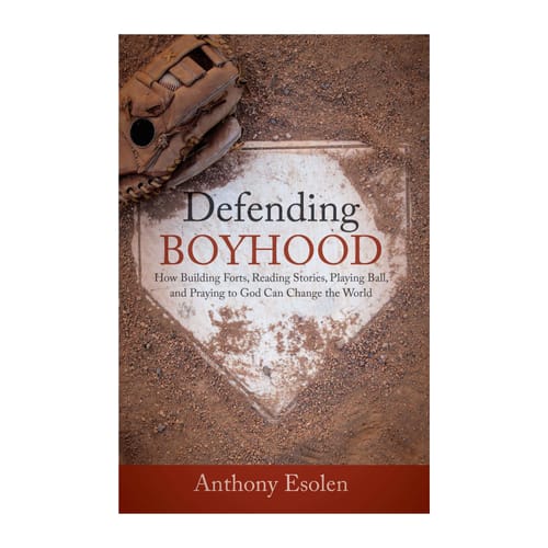 Defending Boyhood - How Building Forts, Reading Stories, Playing Ball, and Praying to God Can Change the World by Anthon
