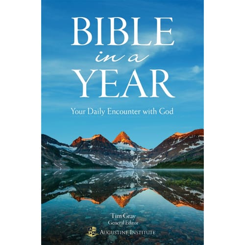 Bible In A Year: Your Daily Encounter With God