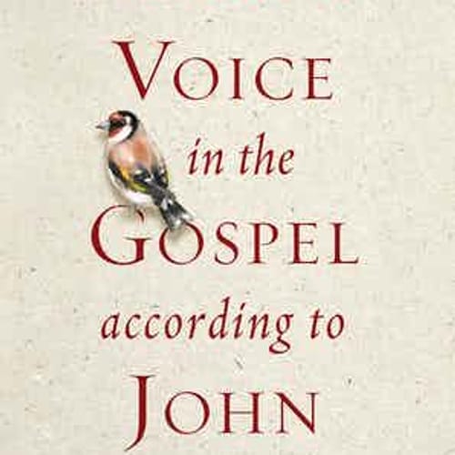 Mary's Voice in the Gospel According to John