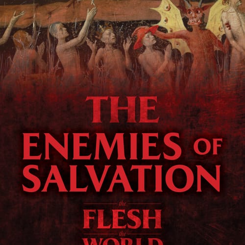 The Enemies Of Salvation: The Flesh, The World, And The Devil by...