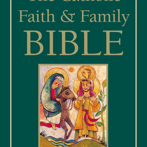 NRSV Catholic Faith and Family Bible (Paperback)