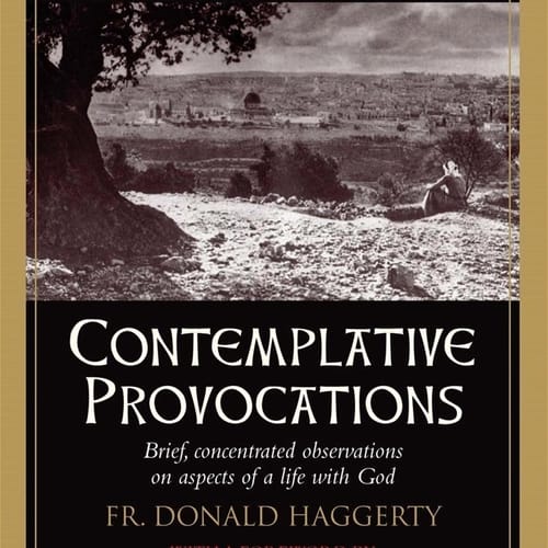Contemplative Provocations: Brief Concentrated Observations on Aspects of a Life with God