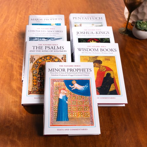 The Navarre Bible Old Testament - Complete Set