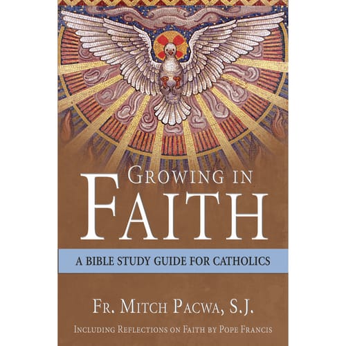 Growing in Faith: A Bible Study Guide for Catholics by Fr. Mitch...