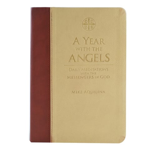 A Year With The Angels - Daily Meditations with the Messengers of...