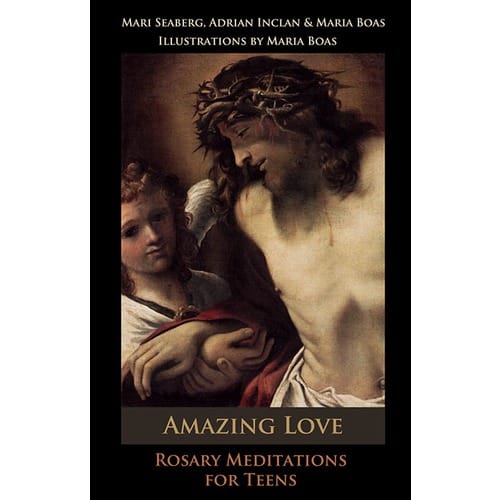 Amazing Love: Rosary Meditations for Teens by Adrian Inclan, Mari Seaberg, Maria...