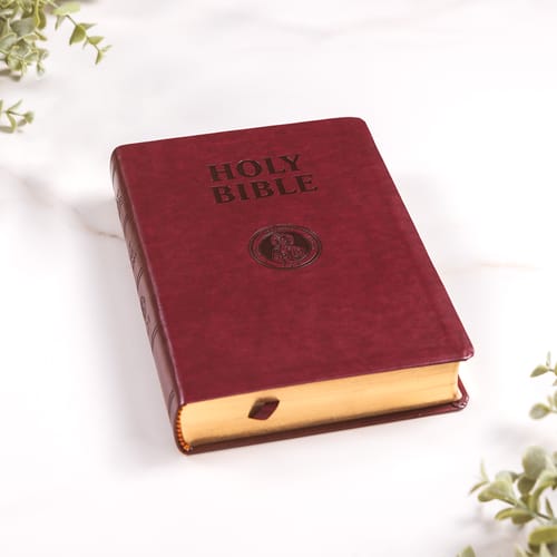 Douay Rheims Bible - Burgundy Cover