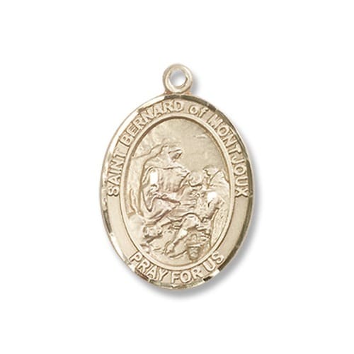 14kt Gold Filled St. Bernard of Montjoux Pendant w/ Chain