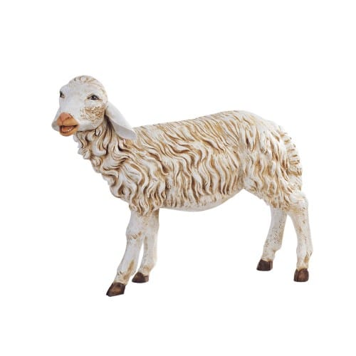 Fontanini Standing Sheep with Head 50