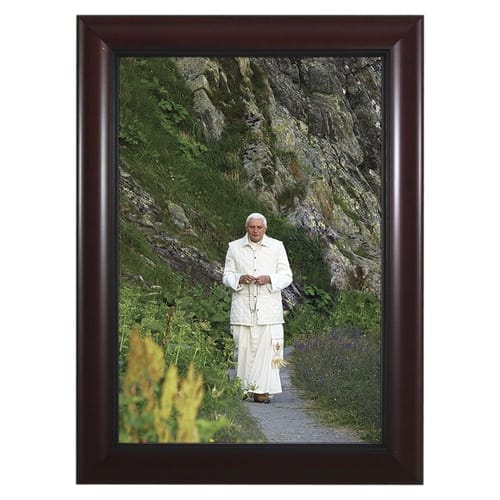 Pope Benedict in Mountains w/ Cherry Frame