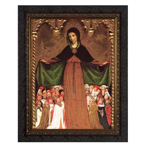 Mary Mother of Mercy Ornate Framed Art - Small