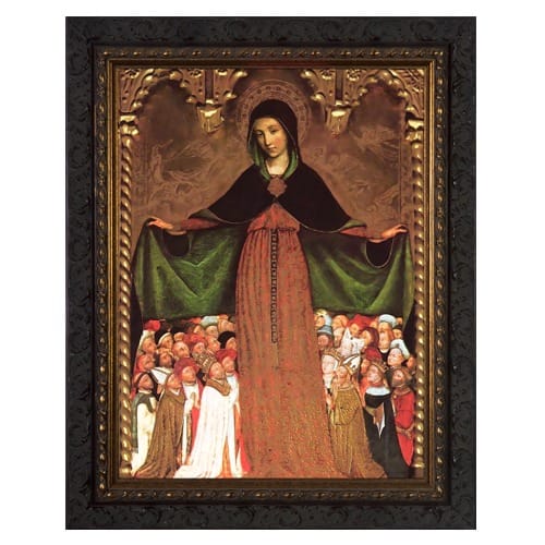 Mary Mother of Mercy Ornate Framed Art - Medium