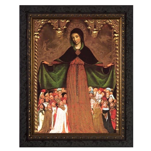 Mary Mother of Mercy Ornate Framed Art - Large