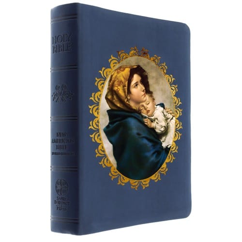 The Madonna of the Streets Bible