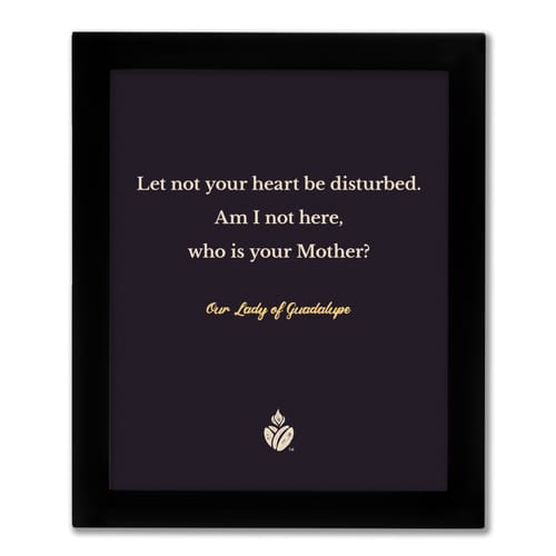 Our Lady of Guadalupe Quote Framed Print