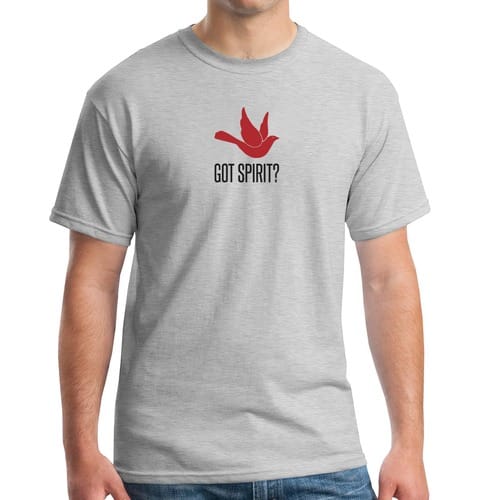 Got Spirit? Grey T-Shirt