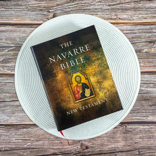 The Navarre Bible New Testament Expanded Edition The Catholic Company