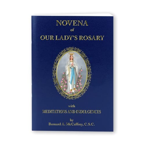 Novena of Our Ladys Rosary image relating to 54 Day Rosary Novena Printable known as Novena of Our Ladys Rosary